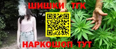 сатива Лесосибирск