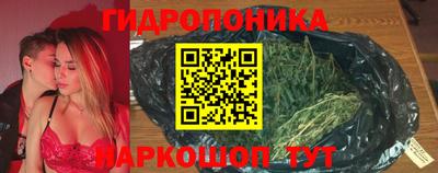 сатива Лесосибирск