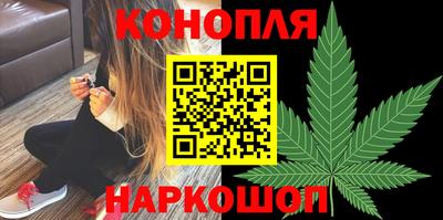 сатива Лесосибирск