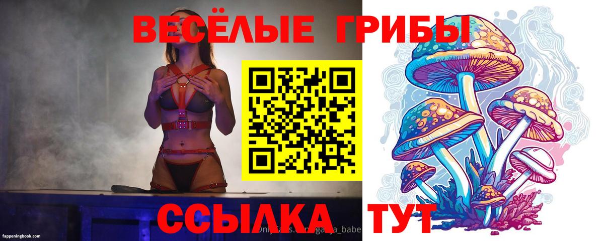 Псилоцибиновые грибы GOLDEN TEACHER Дзержинский
